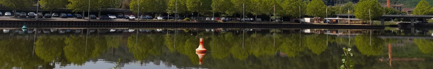 Wissenschaftskids.de